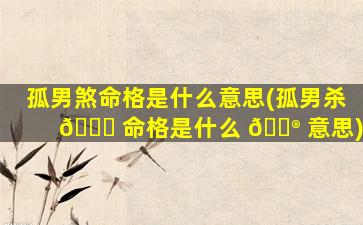 孤男煞命格是什么意思(孤男杀 🐒 命格是什么 💮 意思)